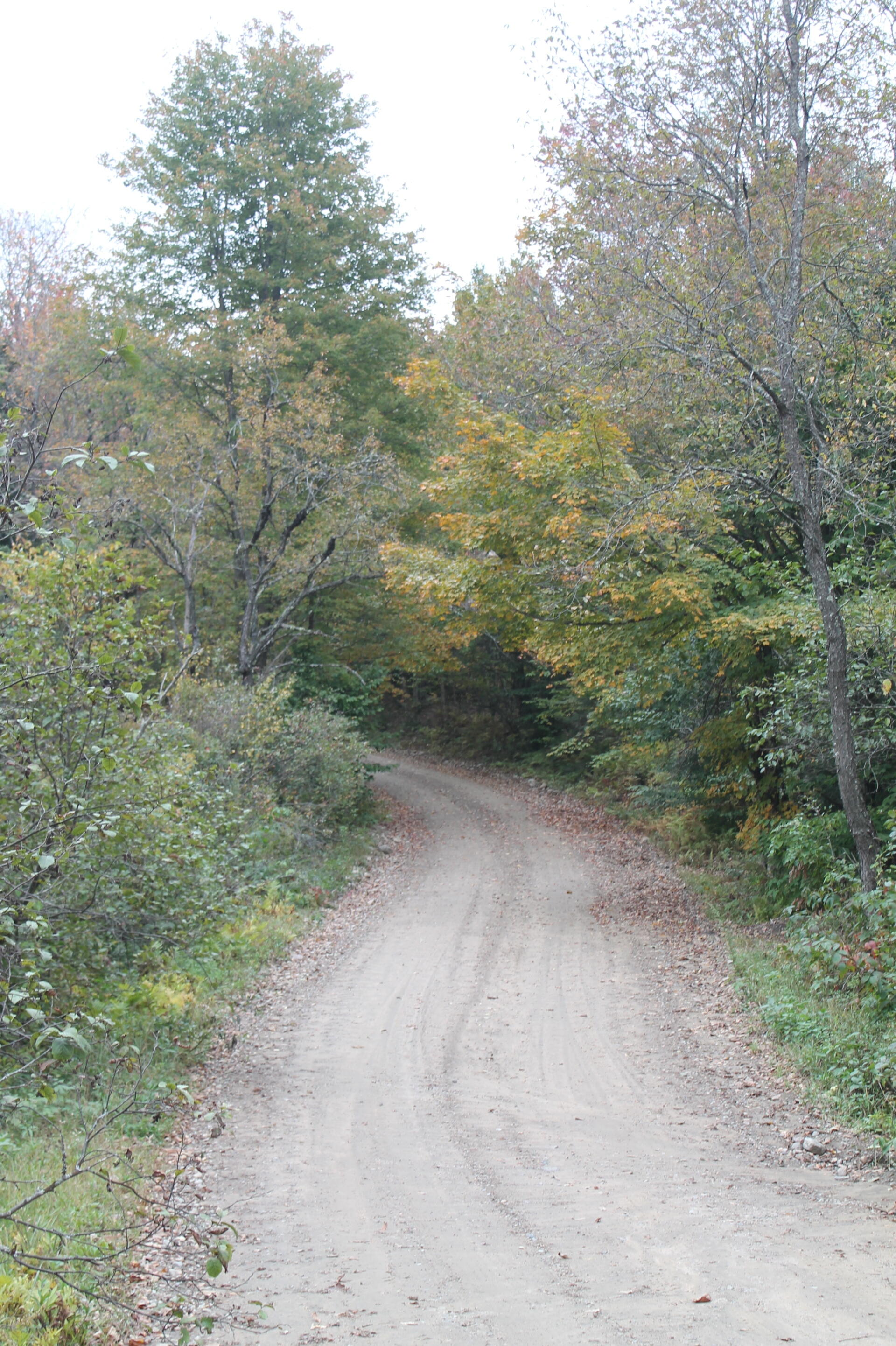 Photo West River Road Andy