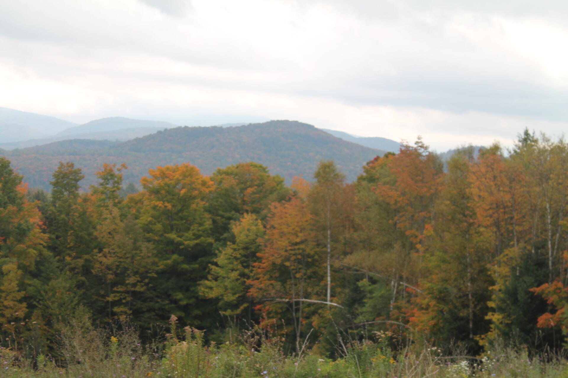 Indian Lake Maps, Photos, Videos, Aerial Photography, Charts Andy