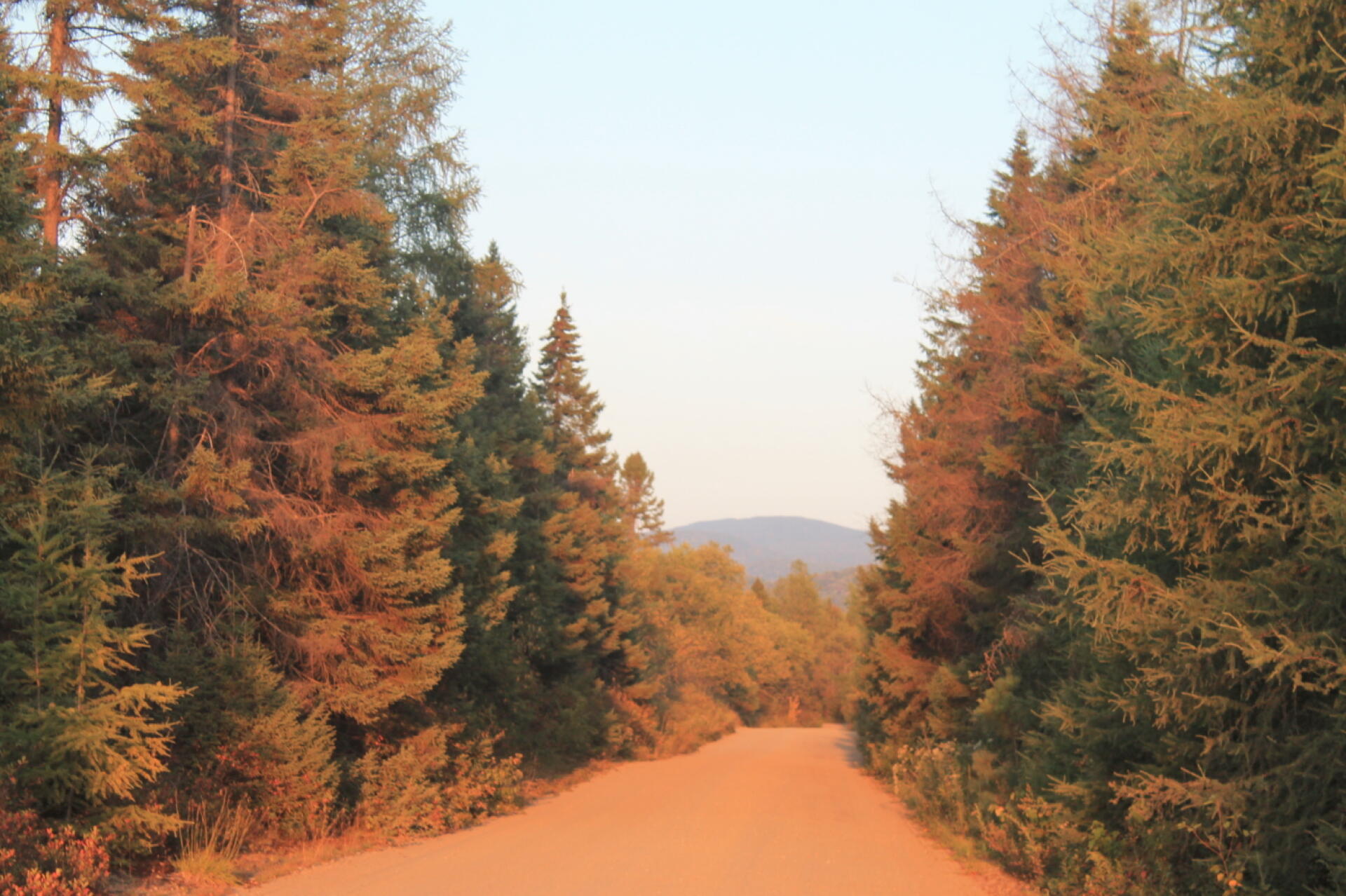 Photo Cedar River Limekiln Lake Road Andy