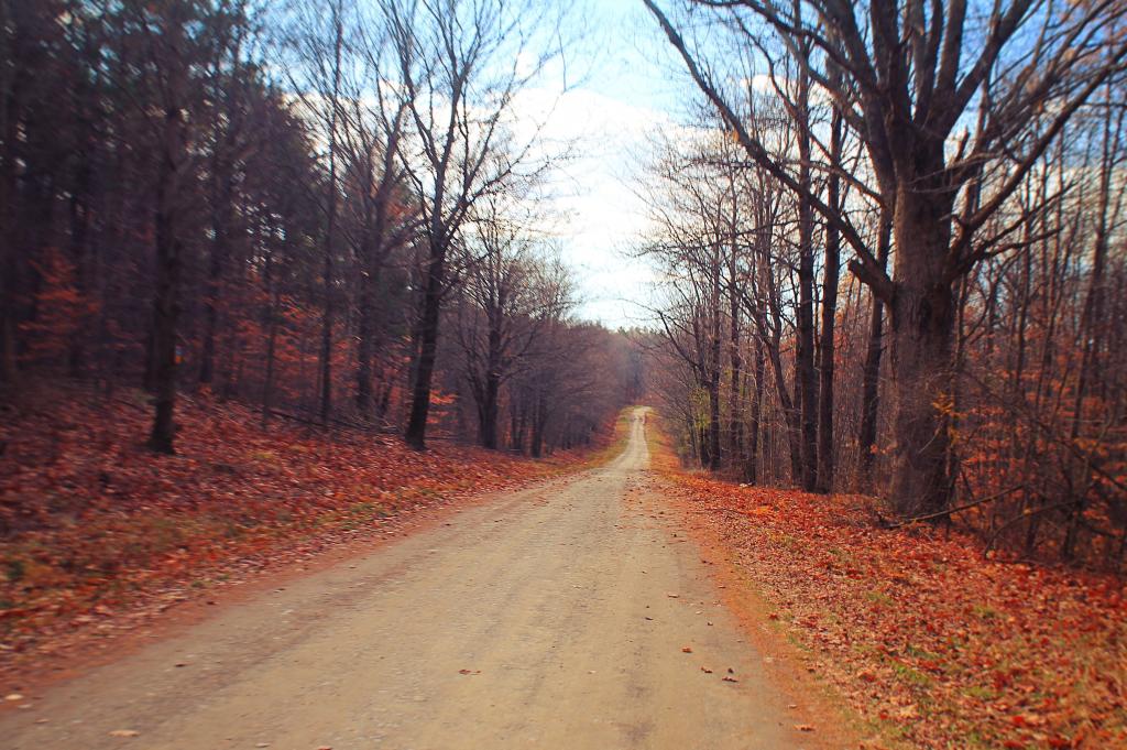 Photo Maple Lane North Andy