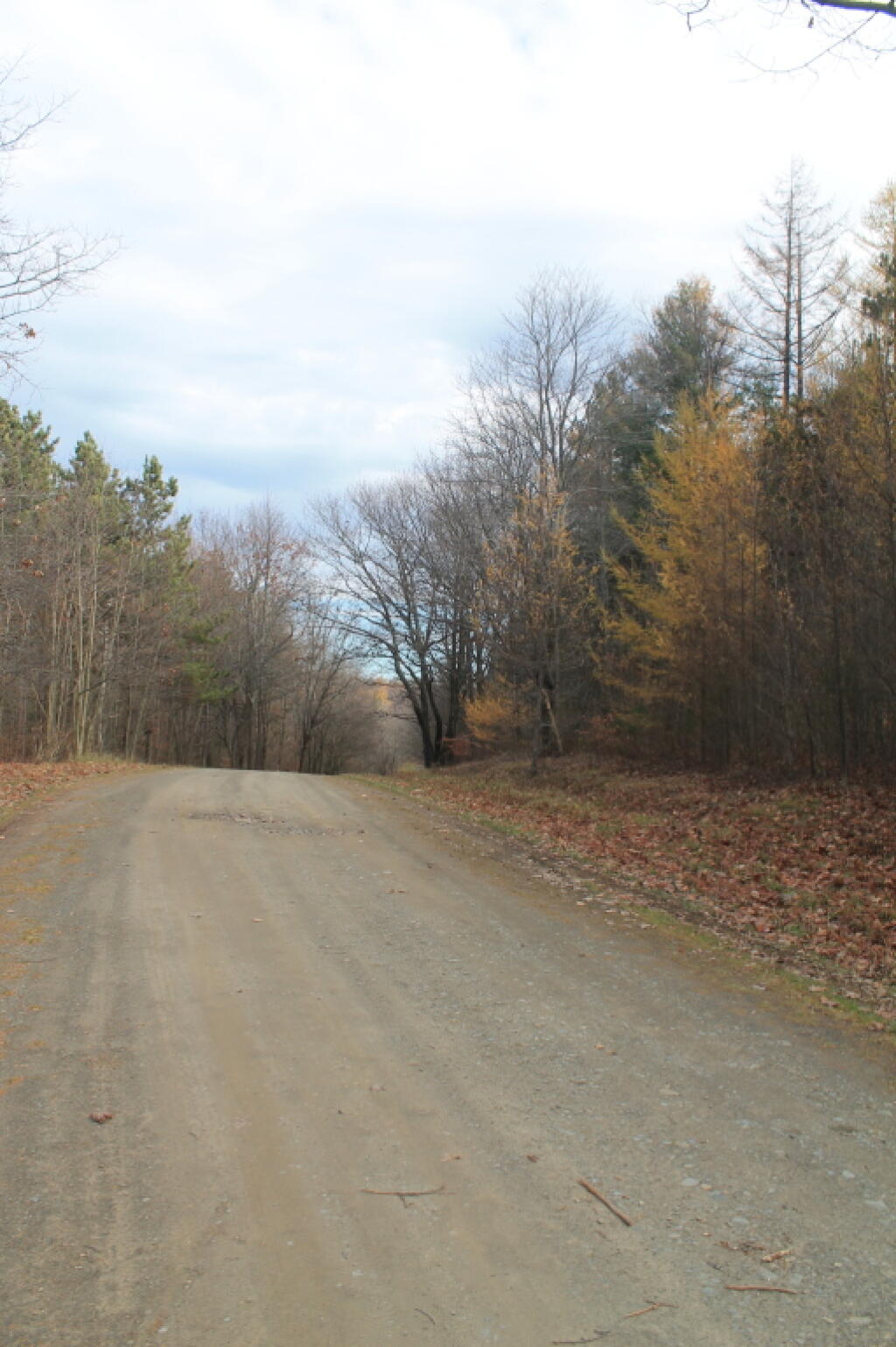 Photo One Hill Over on Maple Lane Andy