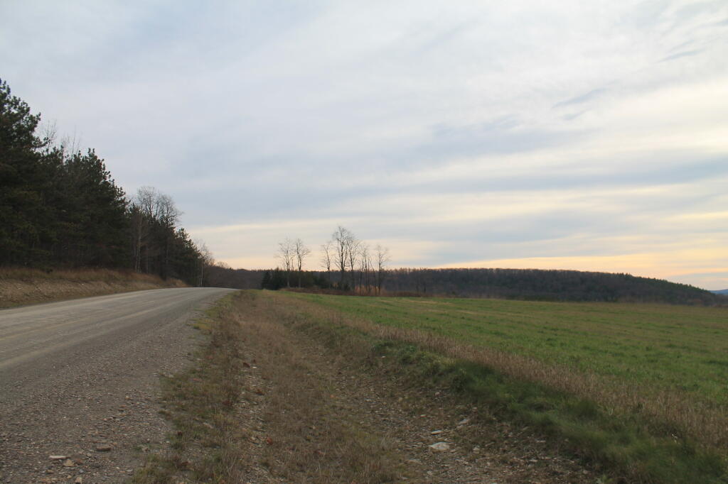 Photo Tower Hill Road Andy