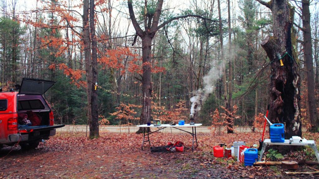 East Otto State Forest Andy