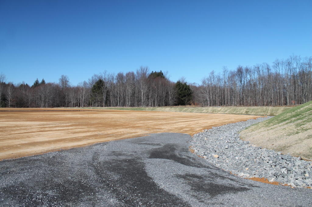 Forest Road 160 & 259 Dispersed Camping Andy