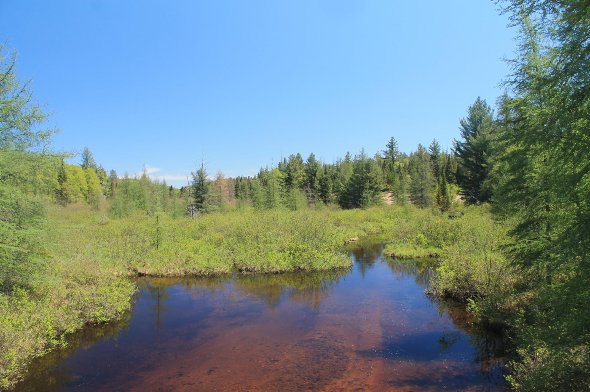 Photo The Red River Andy