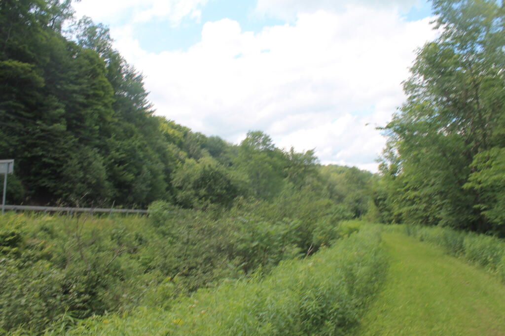 Photo Black River Trail along Black River Canal / NY 46 Andy