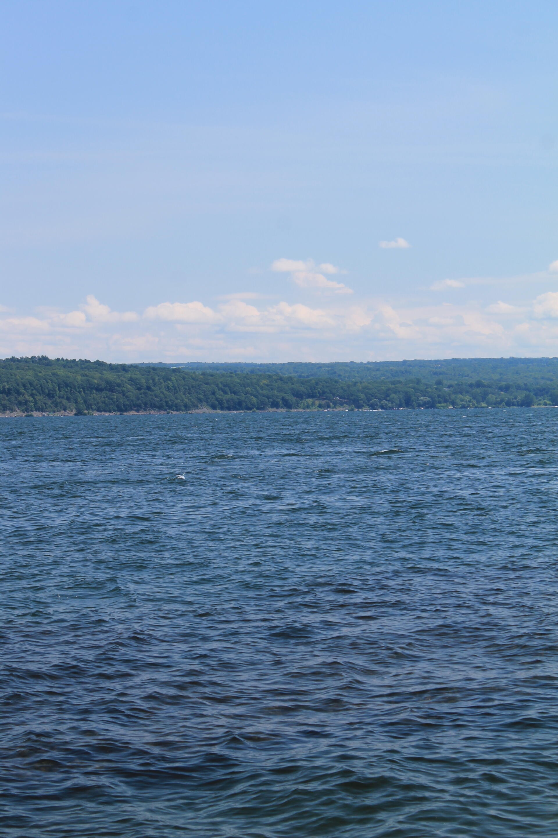 Photo Other Side of Cayuga Lake Andy