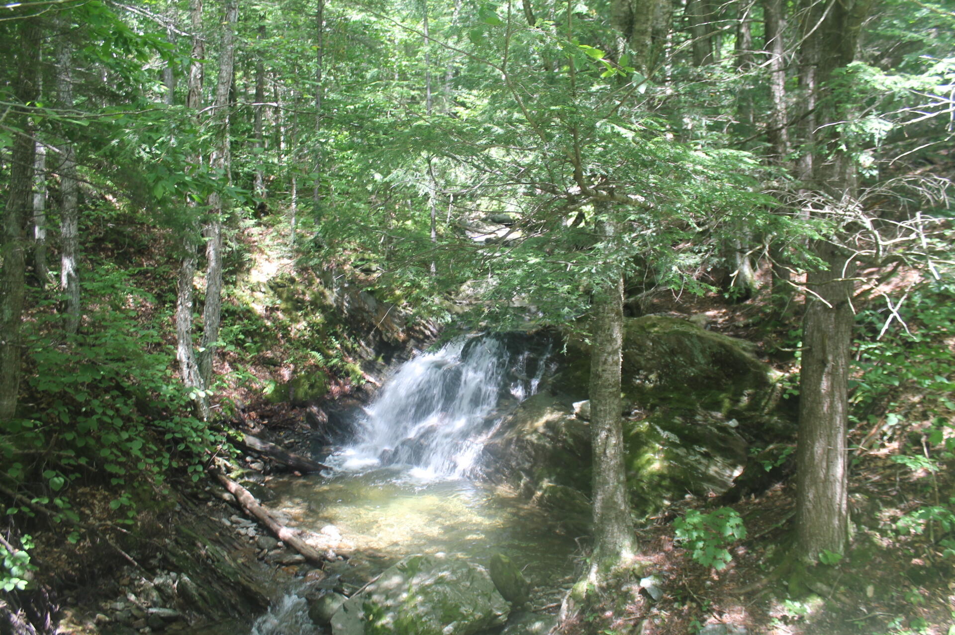 Photo East Canada Creek Andy