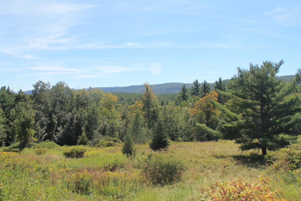 Photo Wild Lands in Northern Catskills Andy