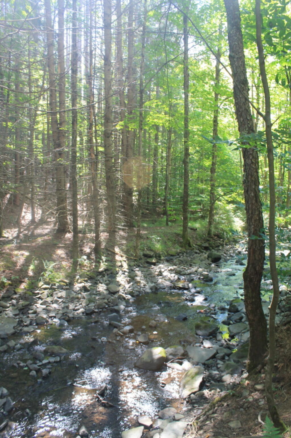 BurntRossman State Forest Maps, Photos, Videos, Aerial Photography