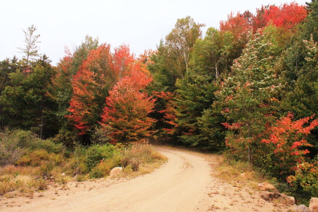Photo Indian Lake Road Near Falls Pond Outlet Andy