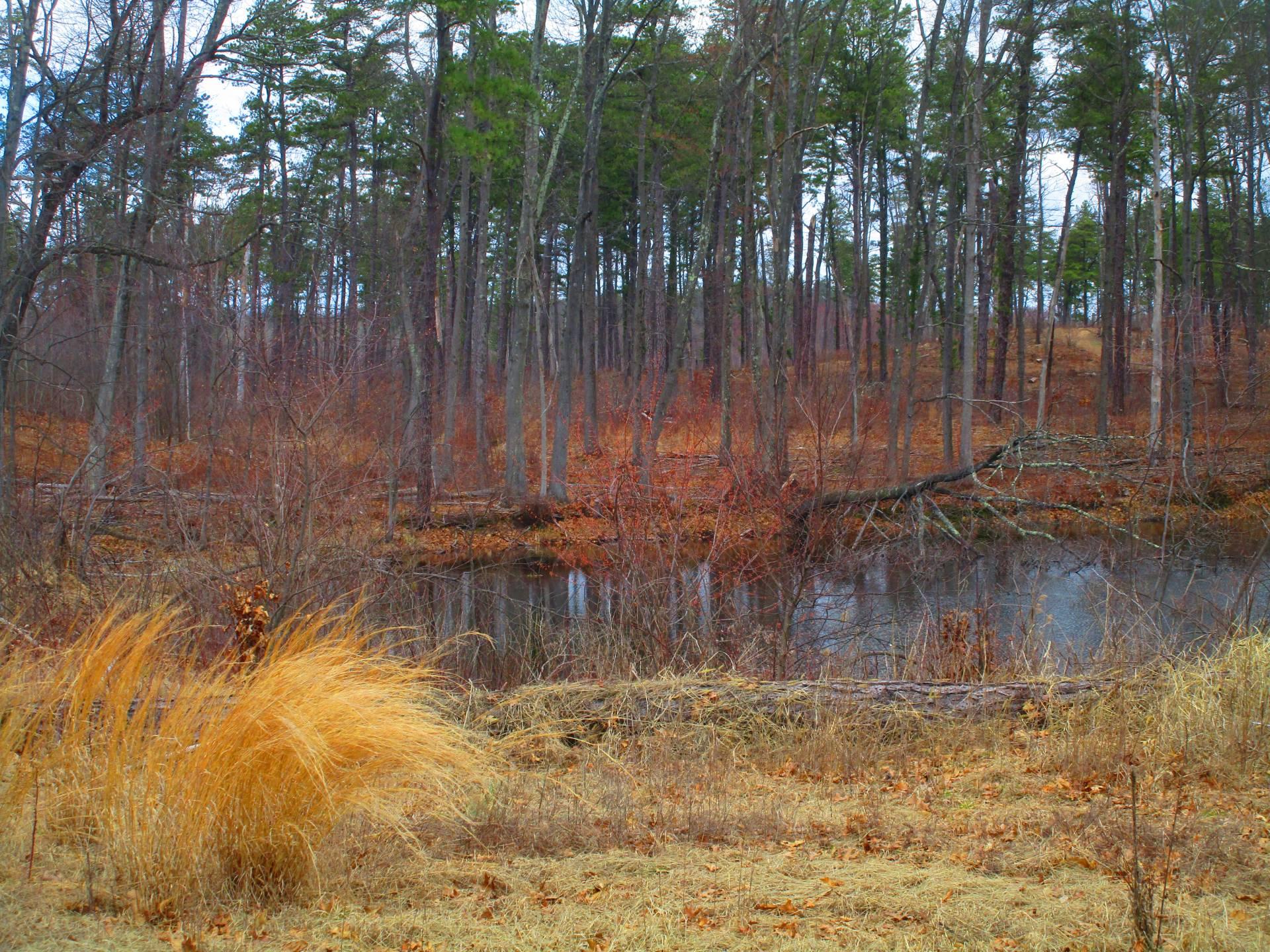 NYC Income Tax Rate Guide (2023) PropertyClub