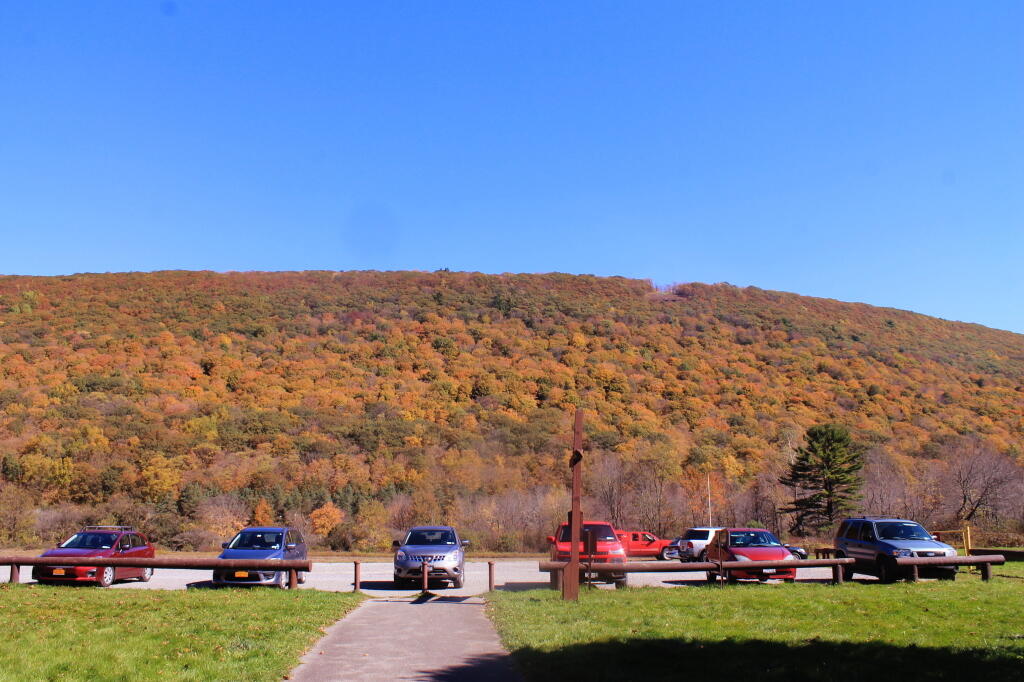 Labrador Hollow Unique Area Andy