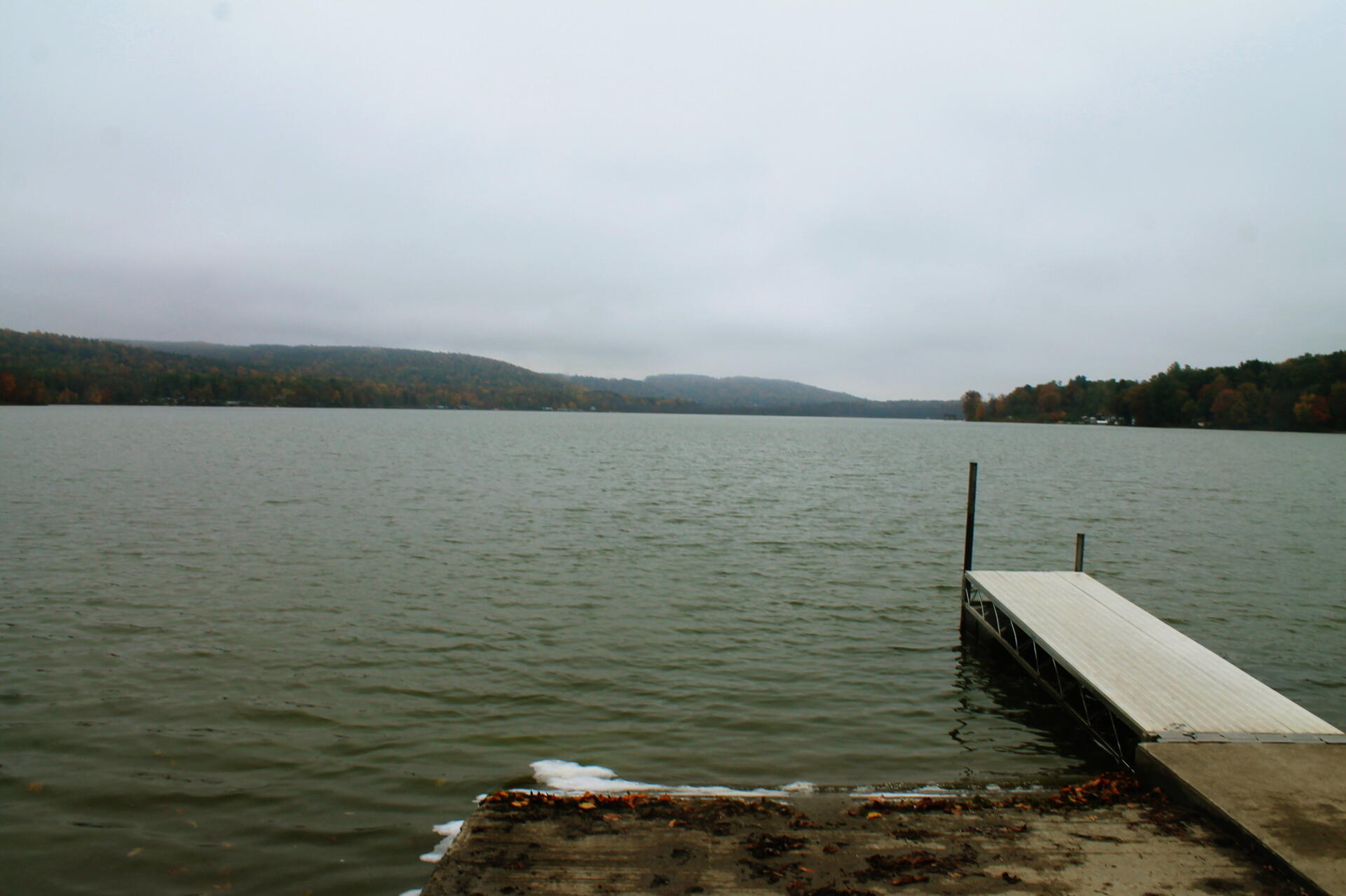 Photo Cayuta Lake Dock Andy