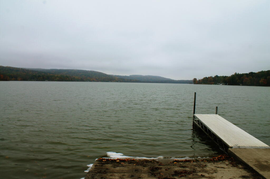 Photo Cayuta Lake Dock Andy
