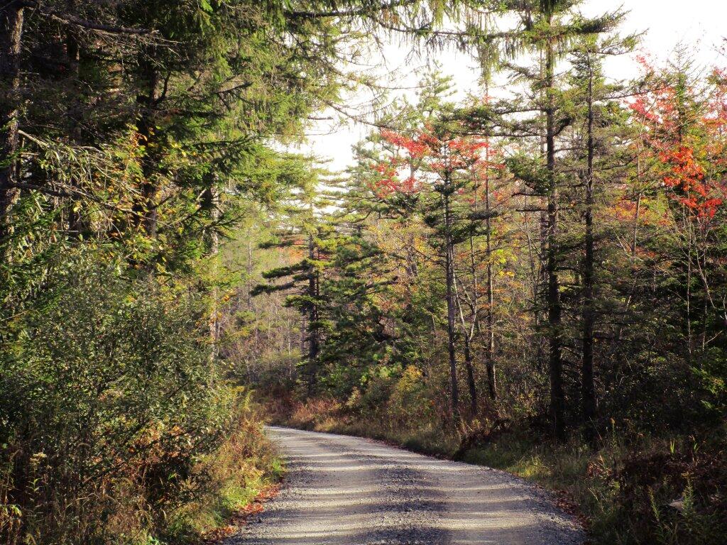 Monongahela National Forest Maps, Photos, Videos, Aerial Photography