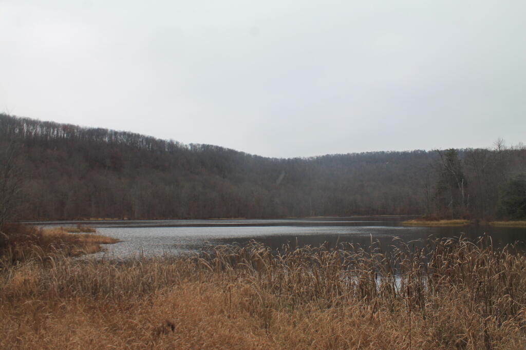 Photo Huggins Lake Andy