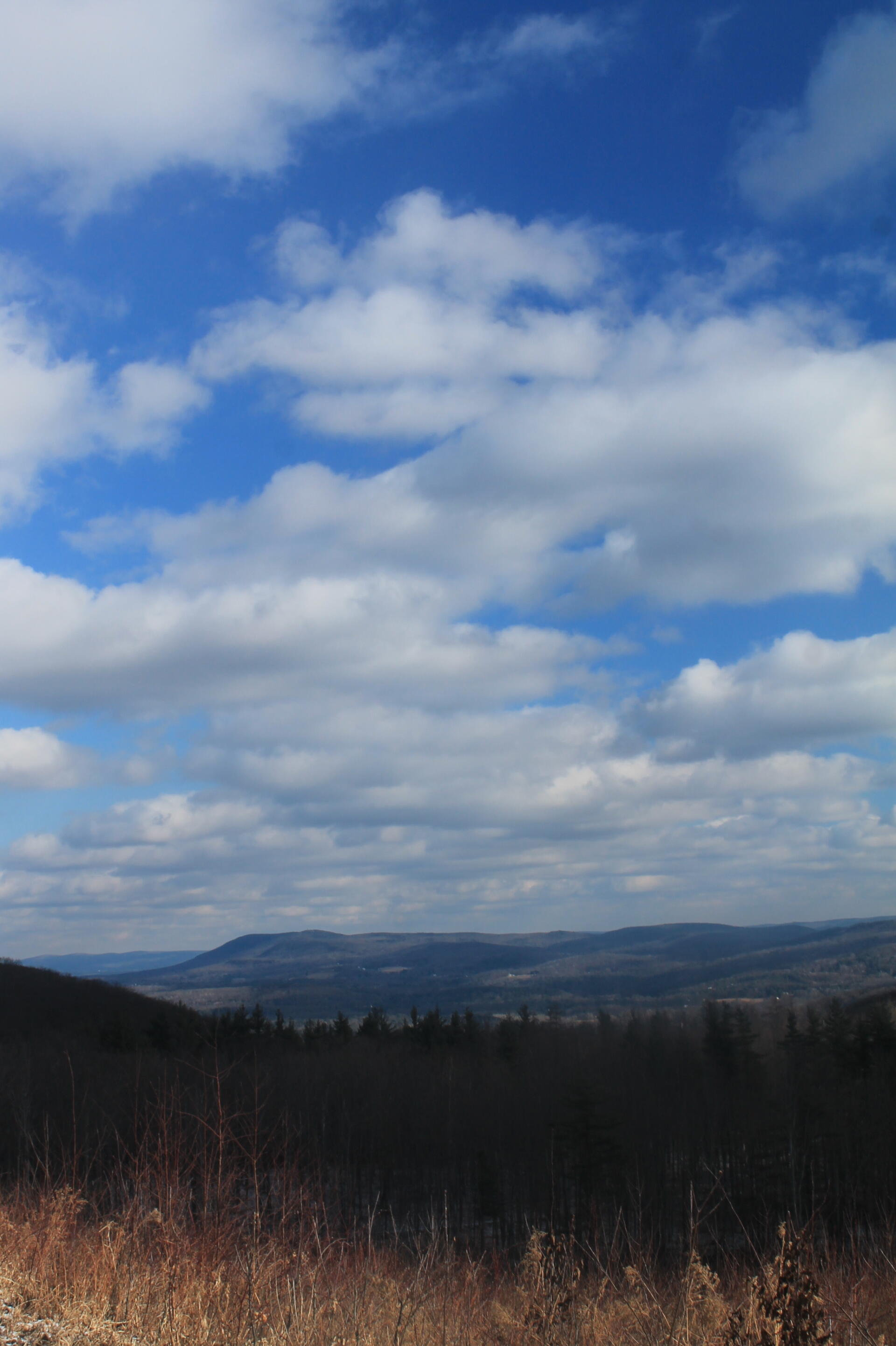 Photo Looking Into West Stockbridge Valley Andy