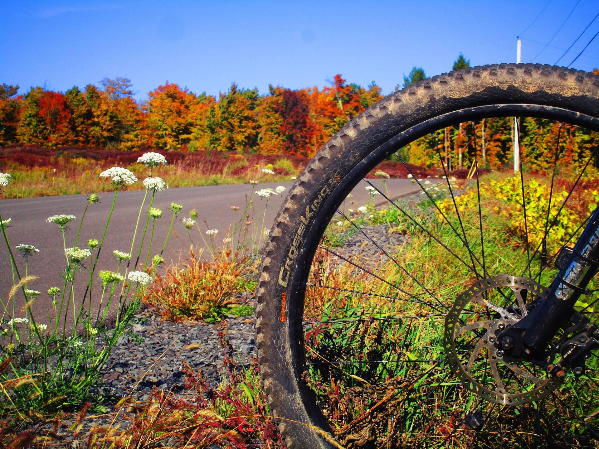 Thematic Map Fully Vaccinated Population January 16, 2021 Andy
