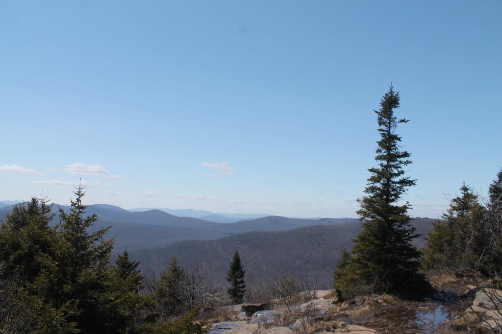 Elm Ave Park & Ride CDTA