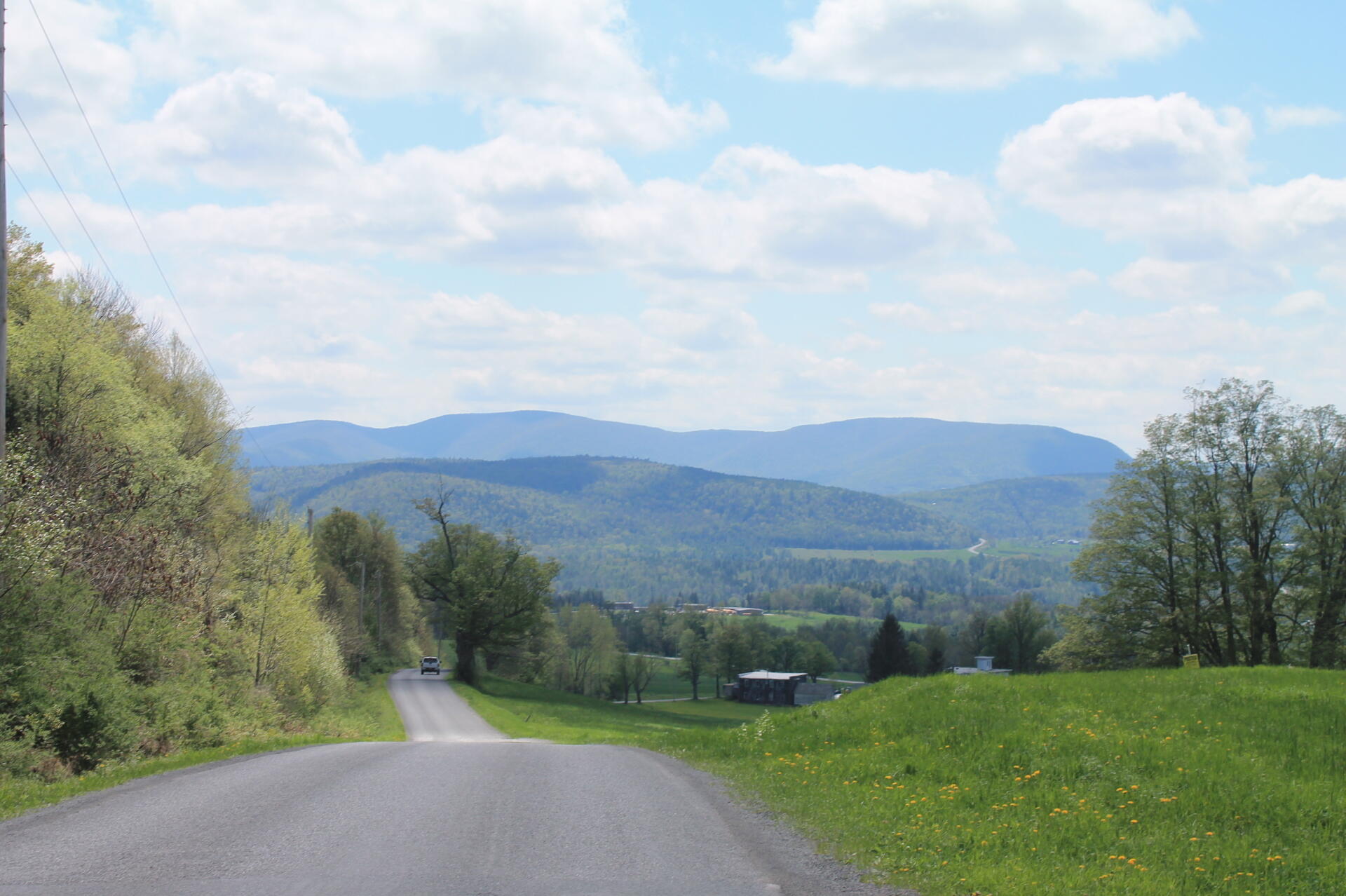 Photo Wyckoff Road Andy