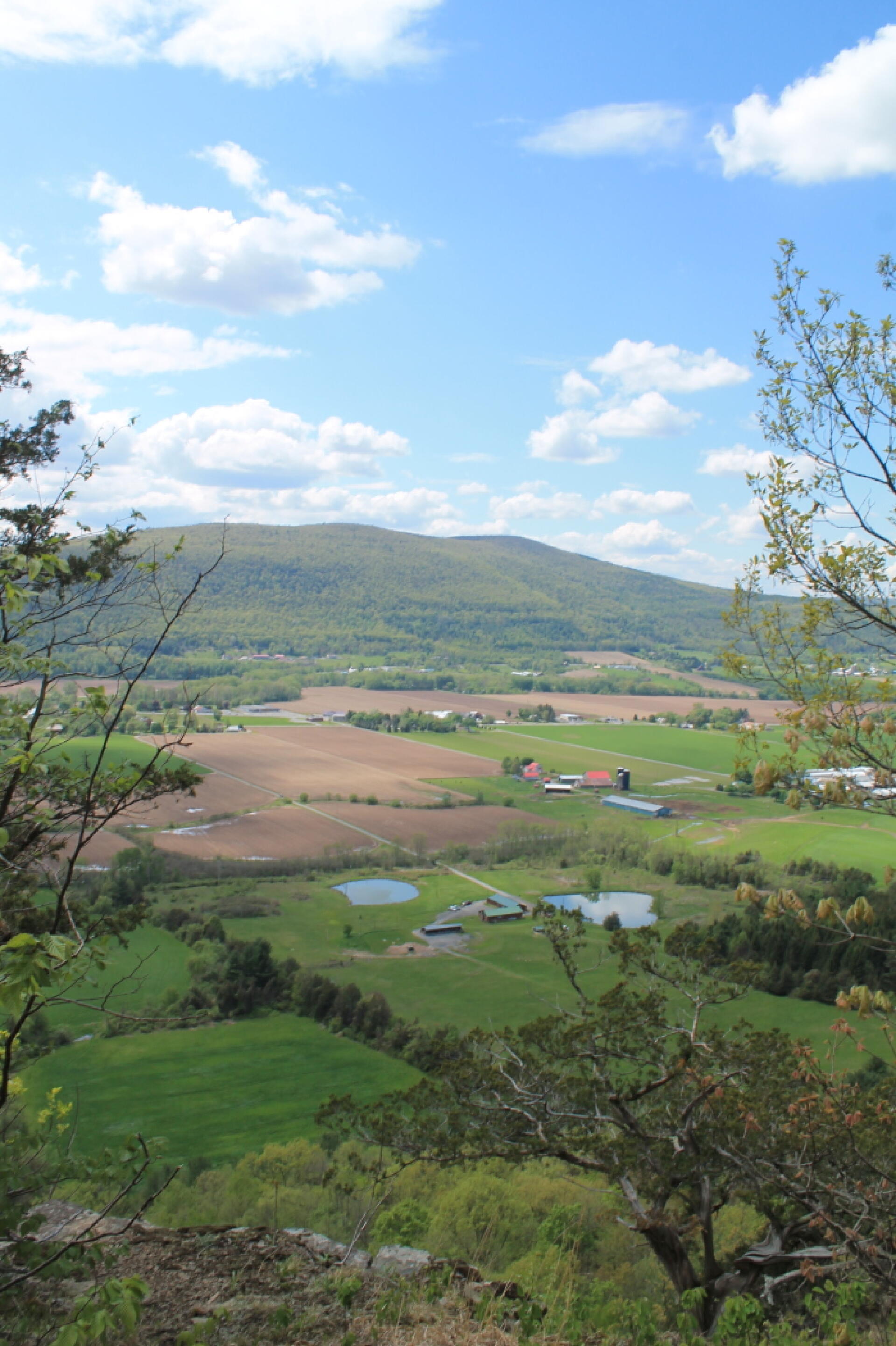 Photo Schoharie Valley Andy