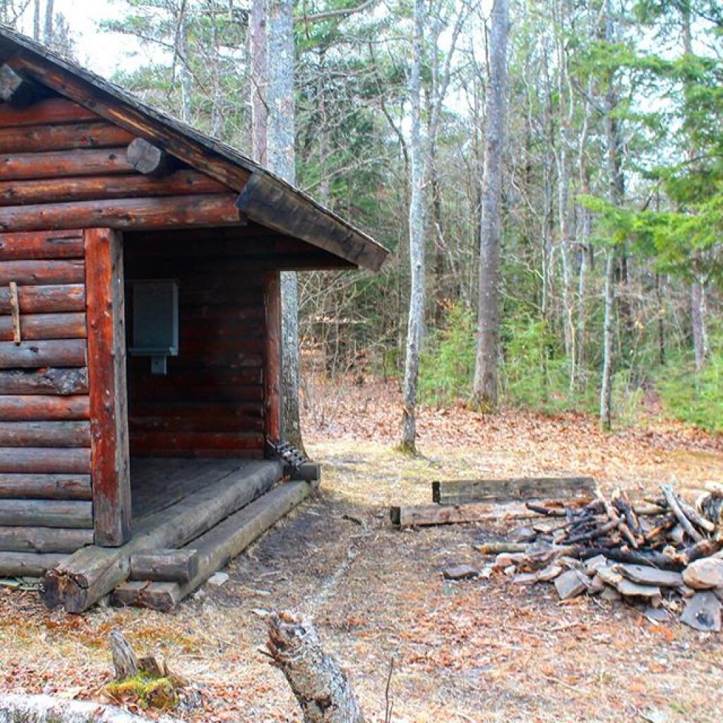 Dutch Settlement State Forest Andy