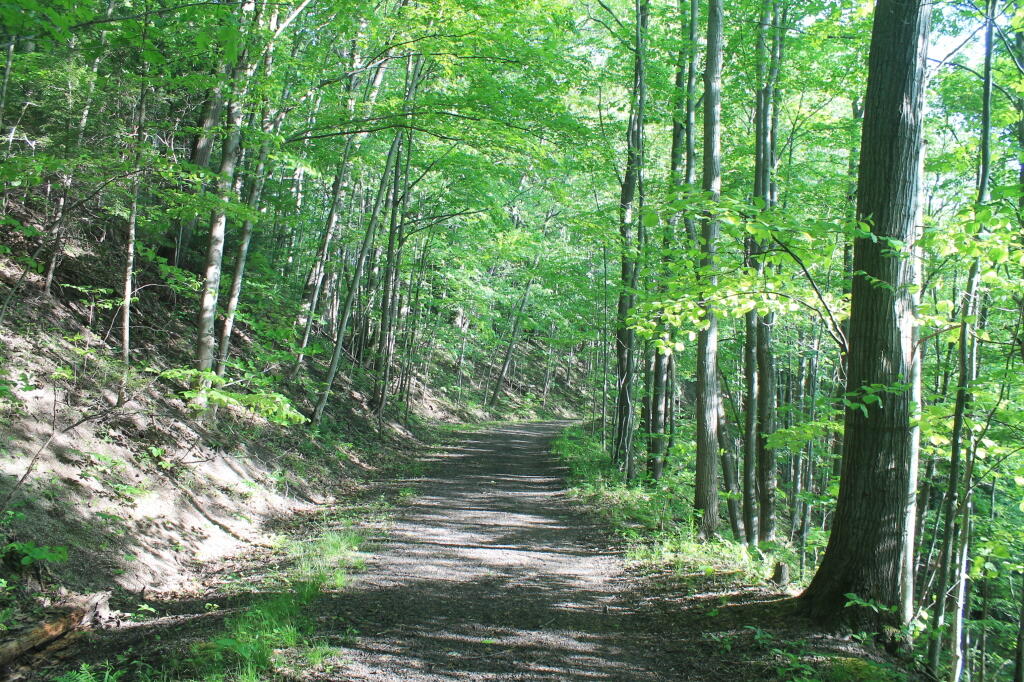 Photo Old Canastota Railroad Andy