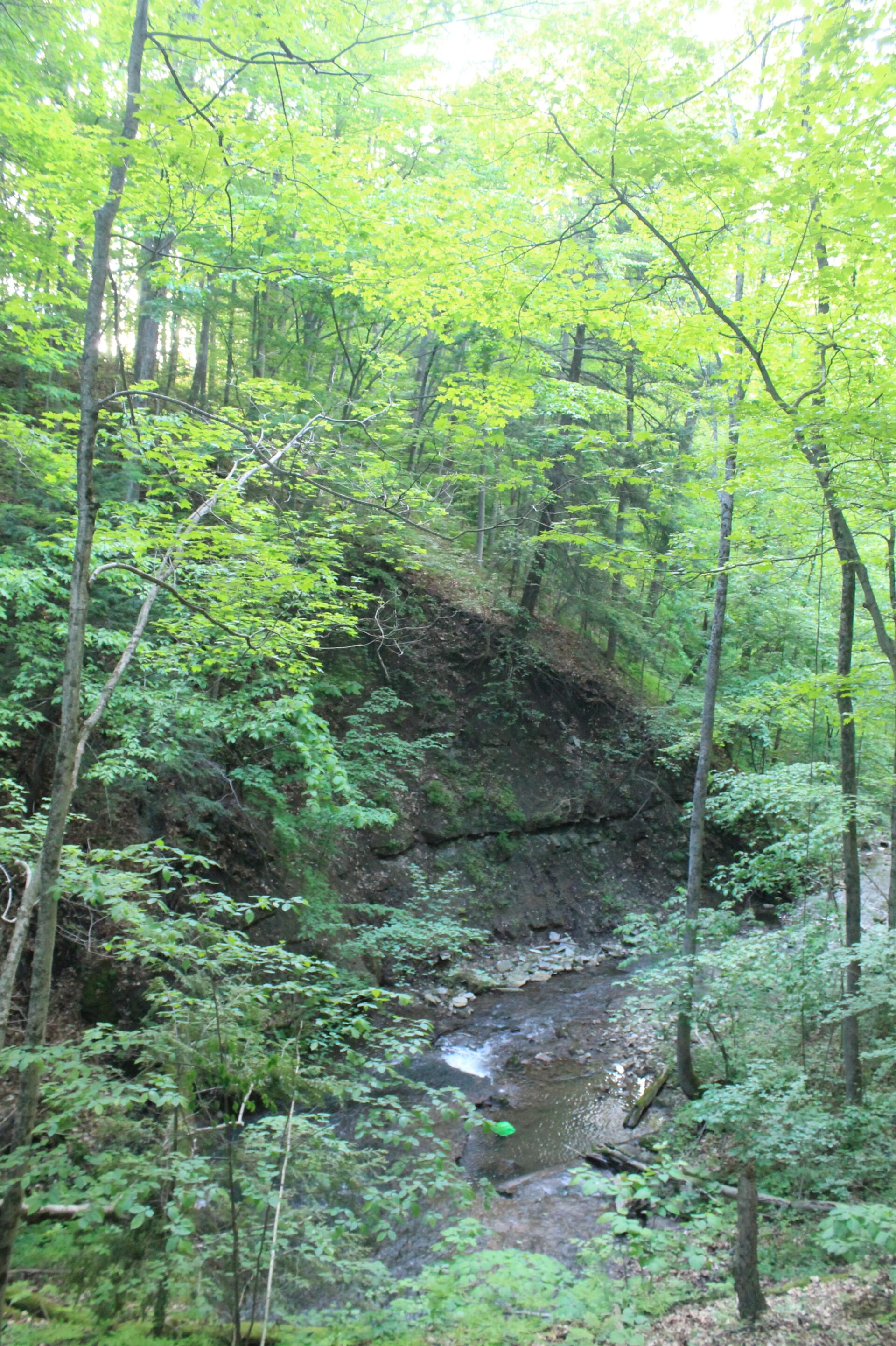 Photo Canastota Creek from Railway Andy