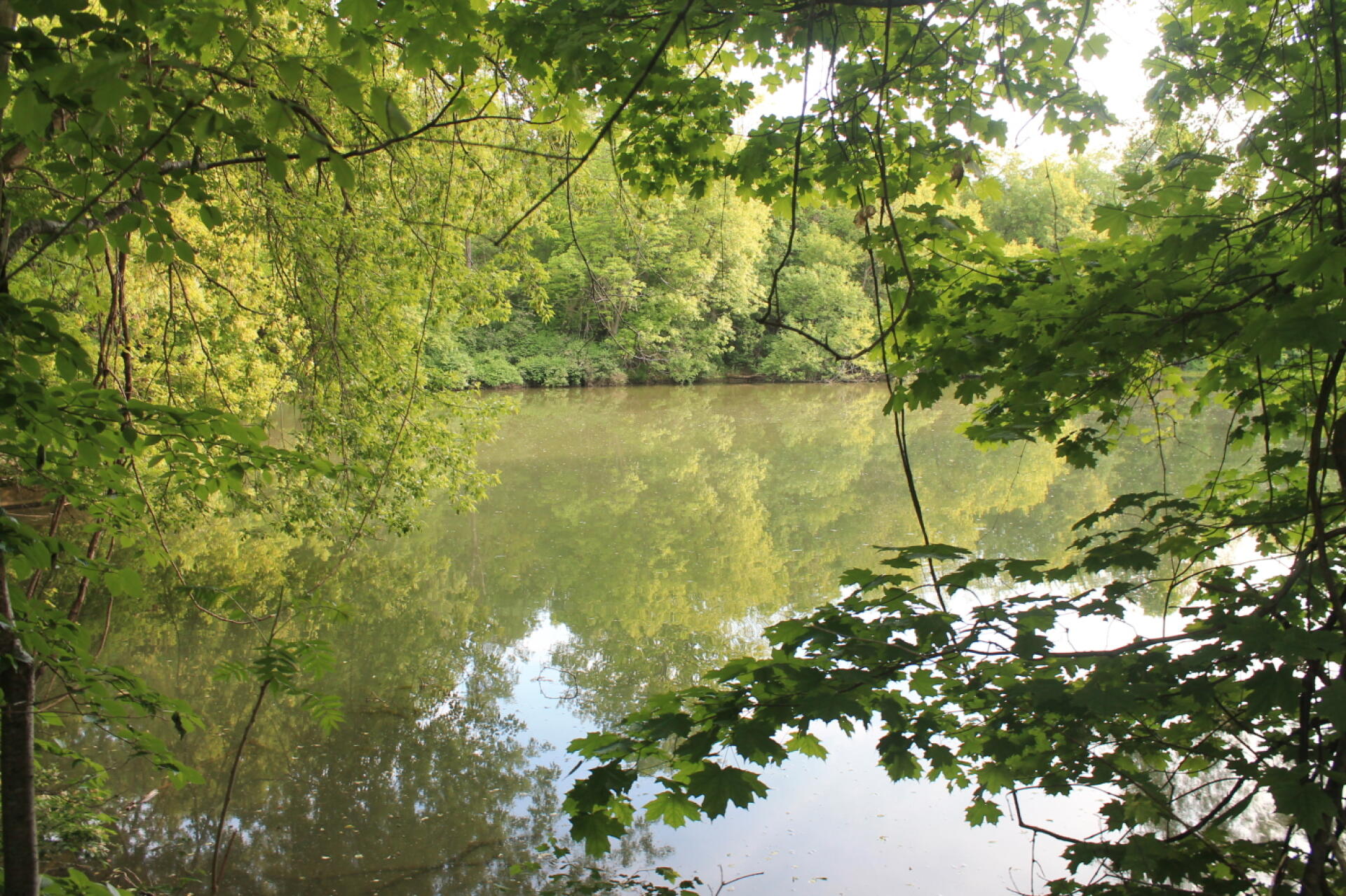 Photo Old Canastota Reservior Andy