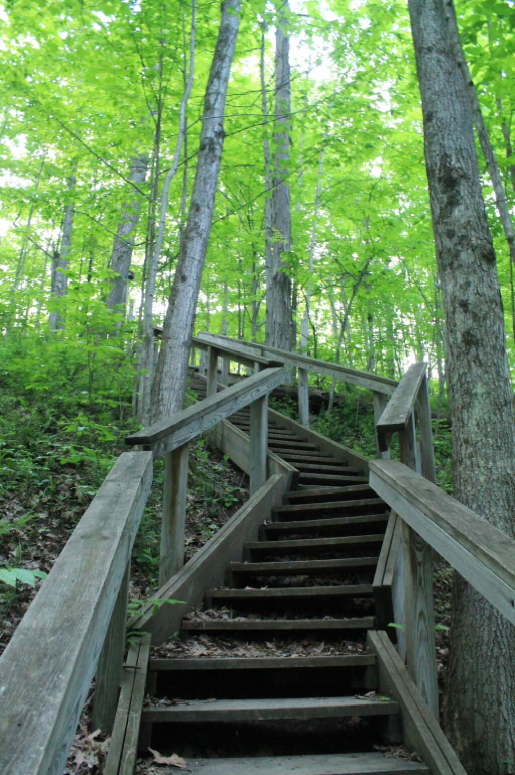 Photo Stairway Out of Canastota Andy