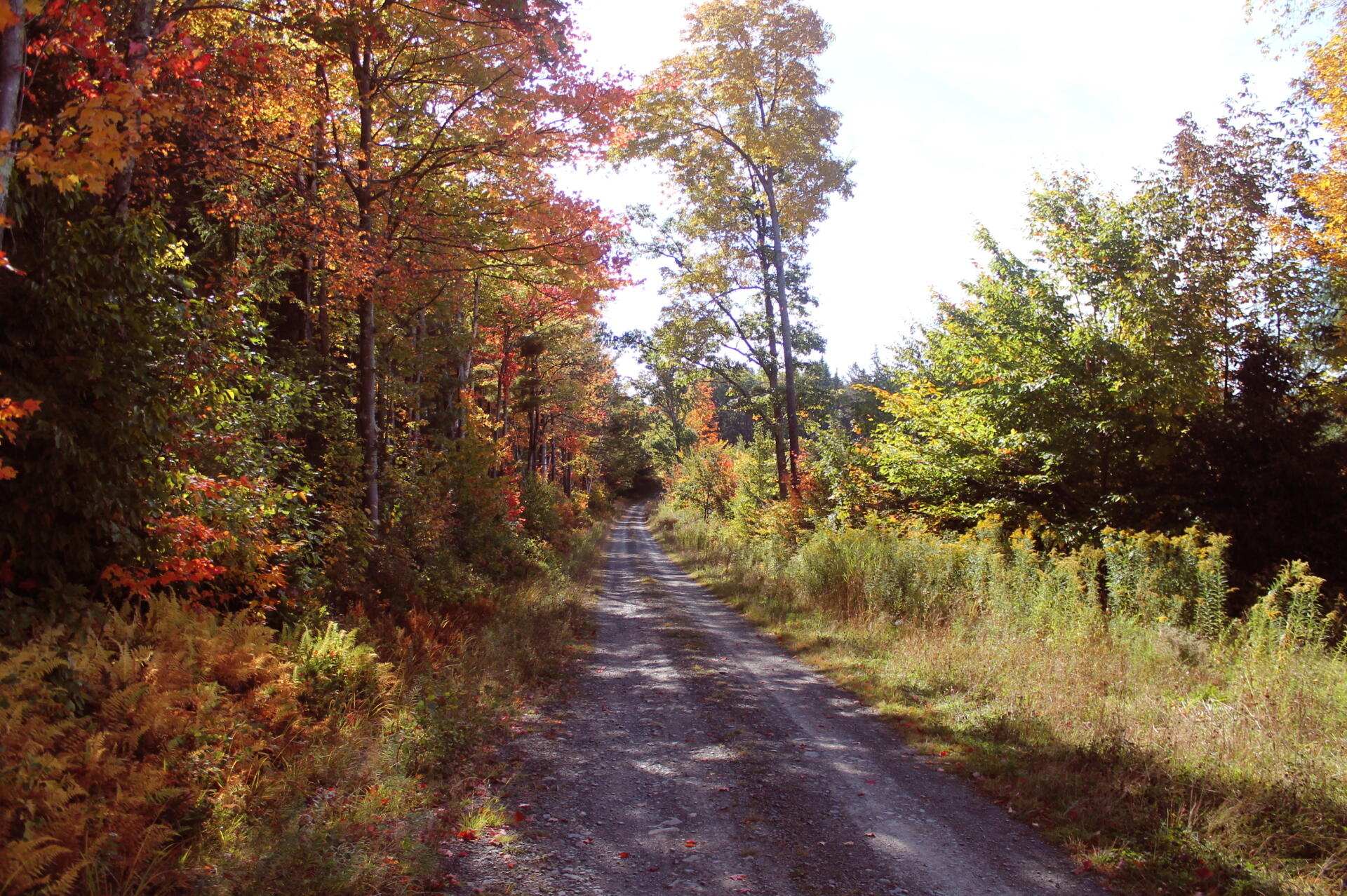 Photo Burnt Hill Road Andy
