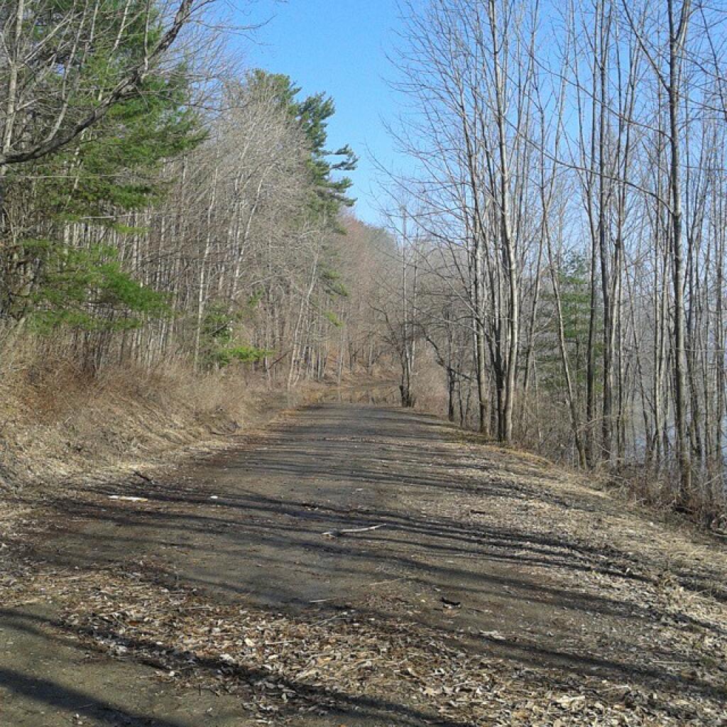 Whitney Point Reservior Andy