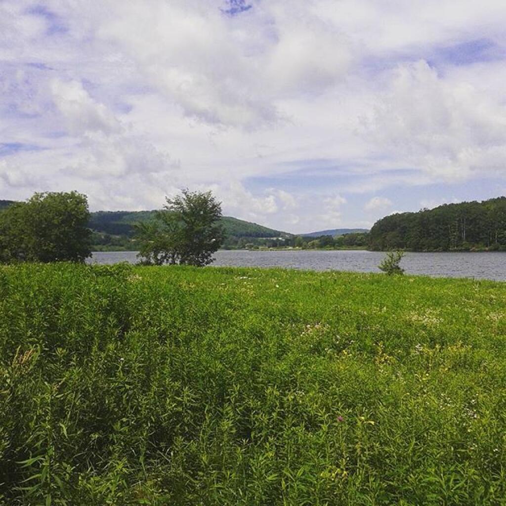 Cowanesque Lake Andy