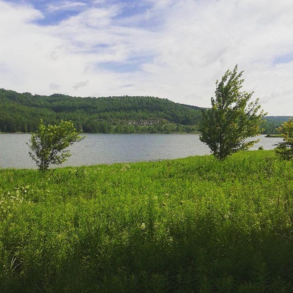 Cowanesque Lake Andy