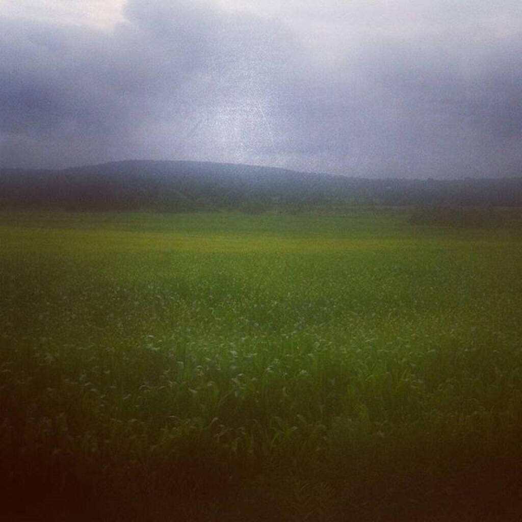 Beaver Dams, New York Andy