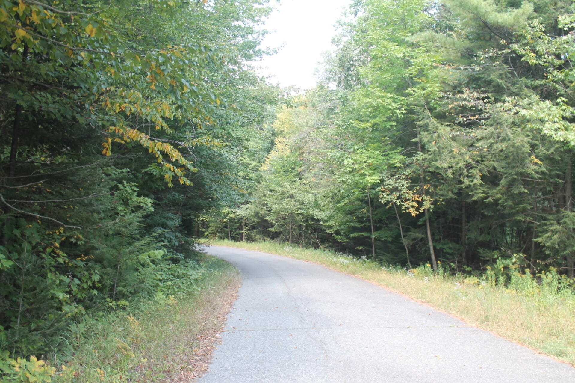 Photo Another View of Old Route 8 Andy