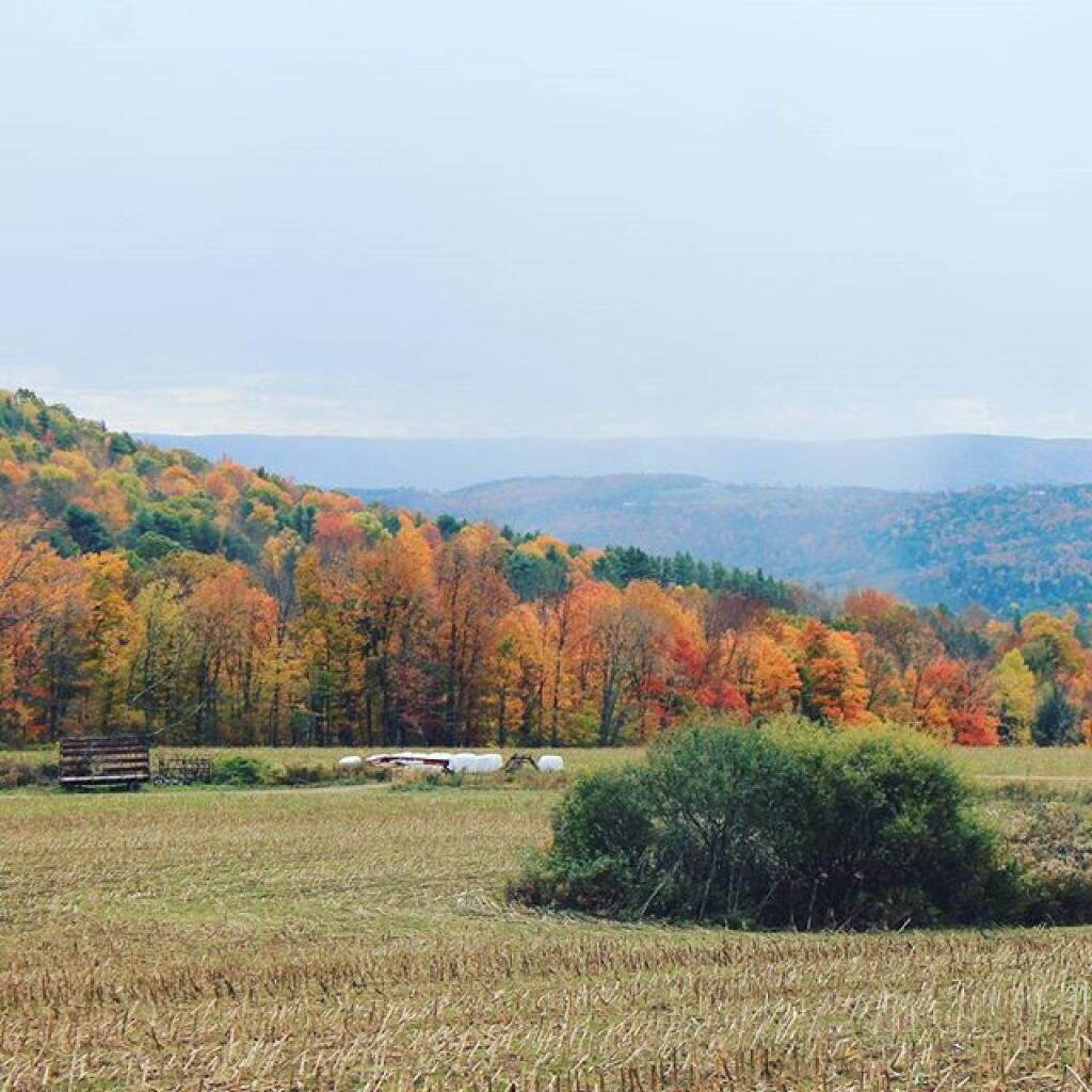 Troy, Pennsylvania Andy