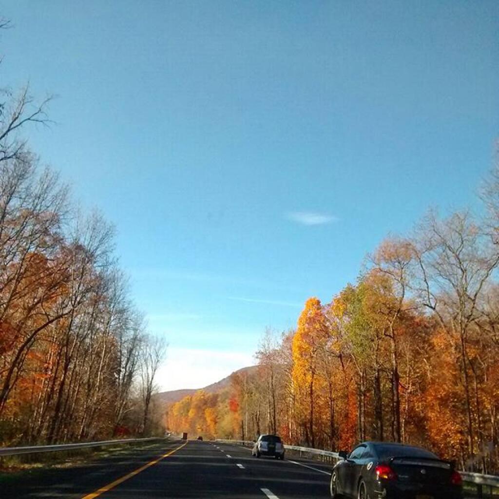 Central Valley, New York Andy