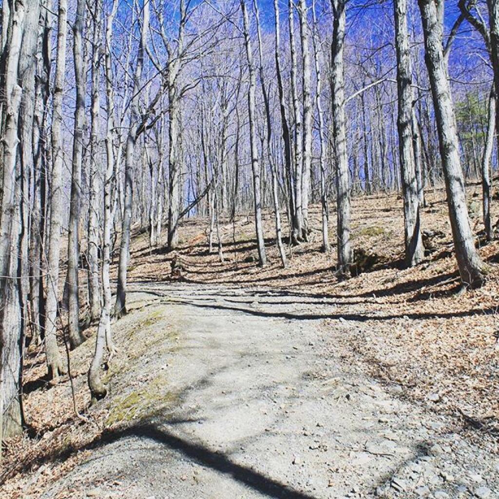 Photo Old Copeland Hill Road Andy