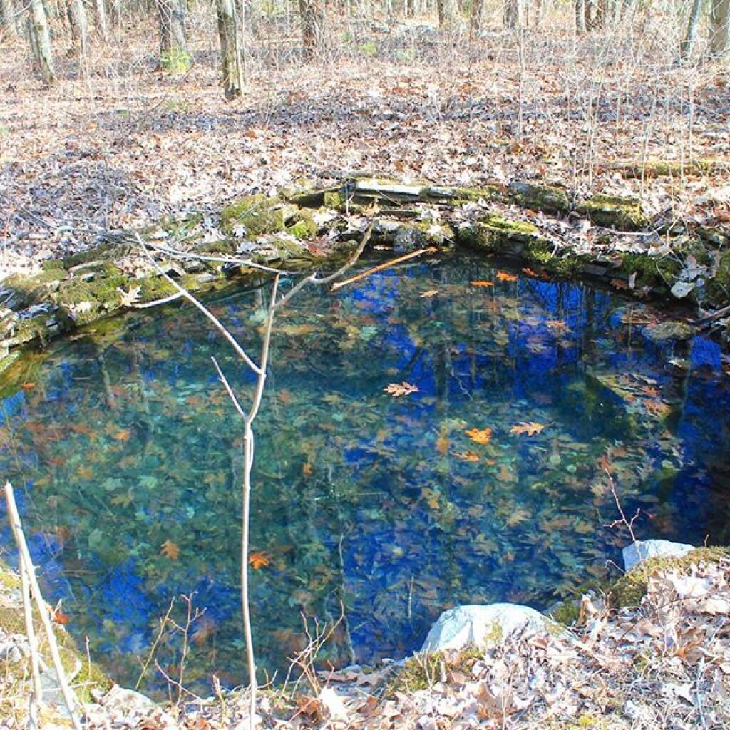 Cotton Hill State Forest Maps, Photos, Videos, Aerial Photography