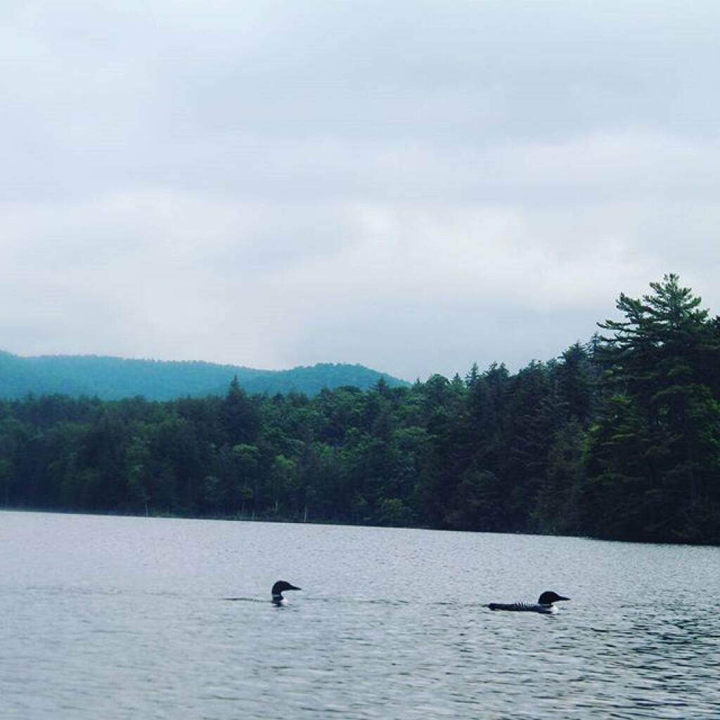 Mason Lake Maps, Photos, Videos, Aerial Photography, Charts Andy