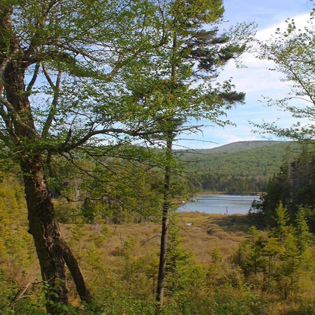 Photo Beebe Pond Andy