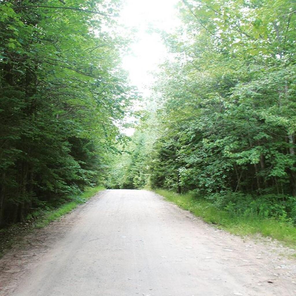 Photo Cedar River Limekiln Lake Road Andy