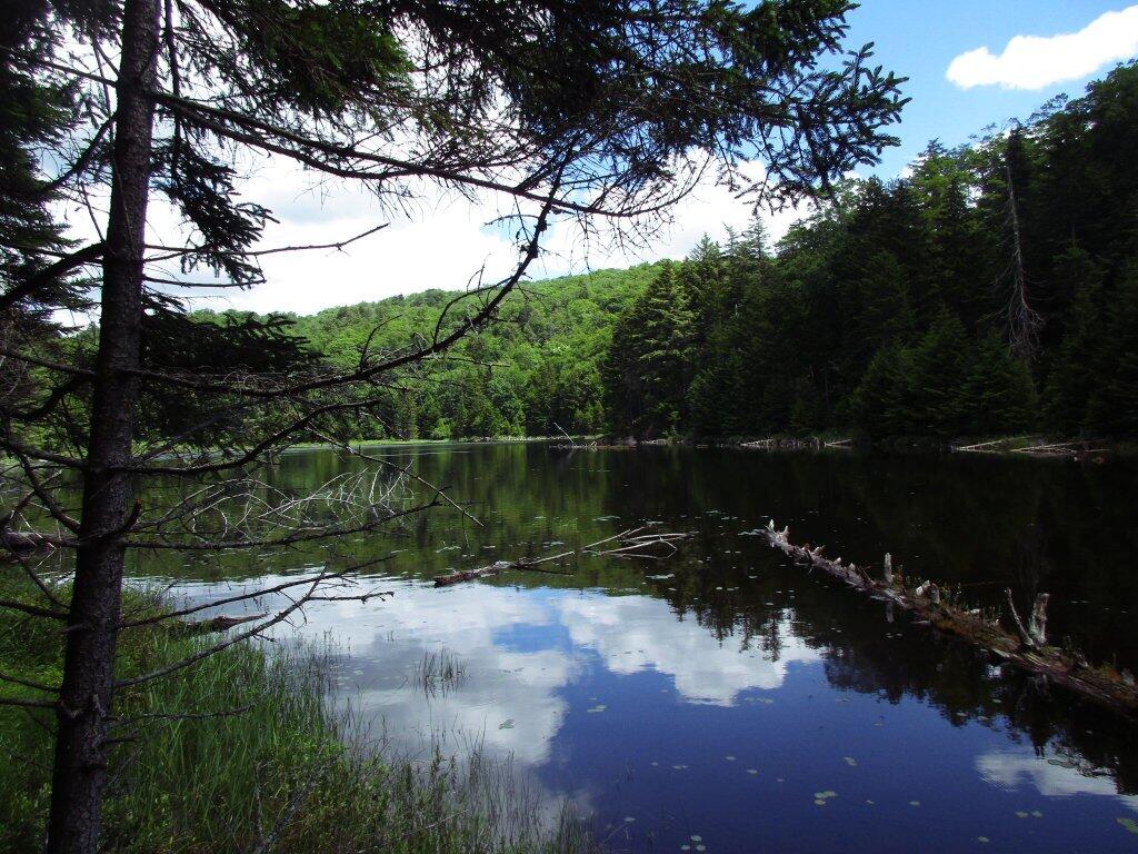 Pigeon Lake Wilderness Andy