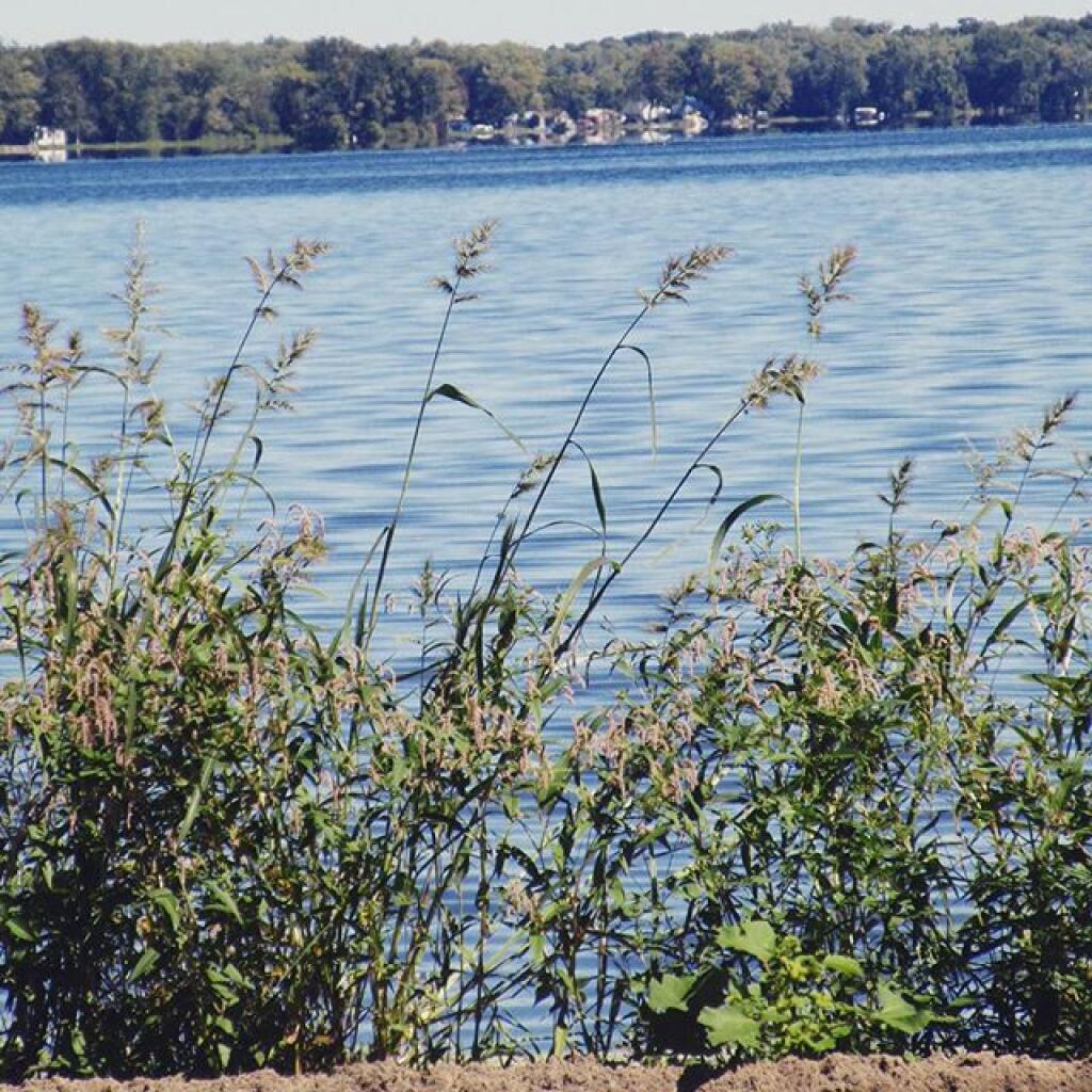 Oneida Shores County Park Maps, Photos, Videos, Aerial Photography