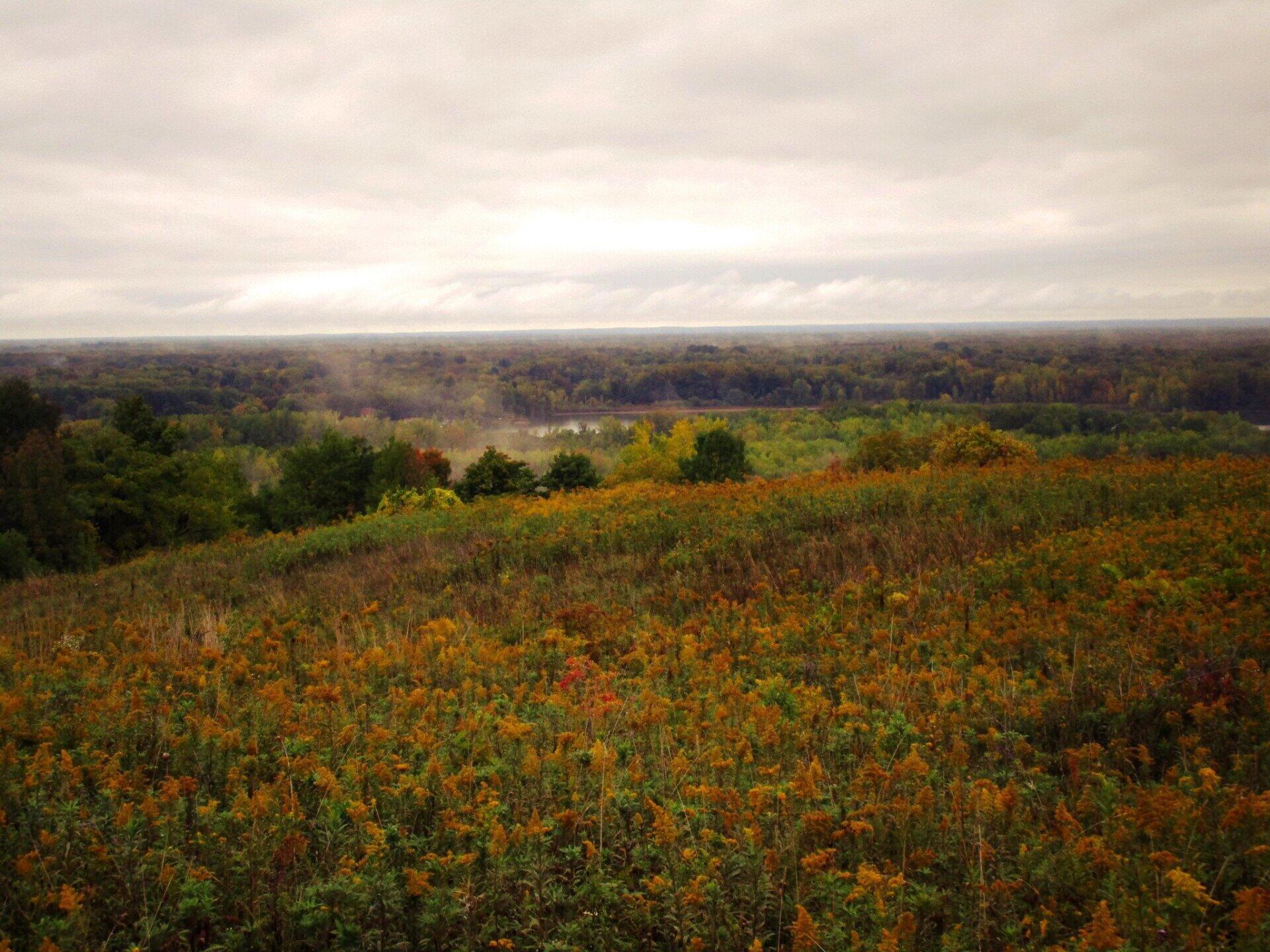 Photo Limestone Pond Andy