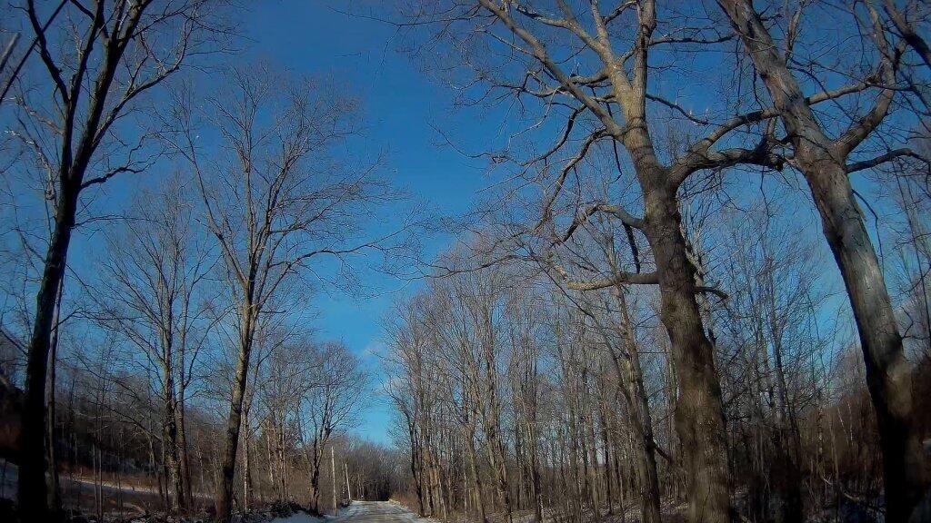 Photo Wolf Hill Road 01 Andy