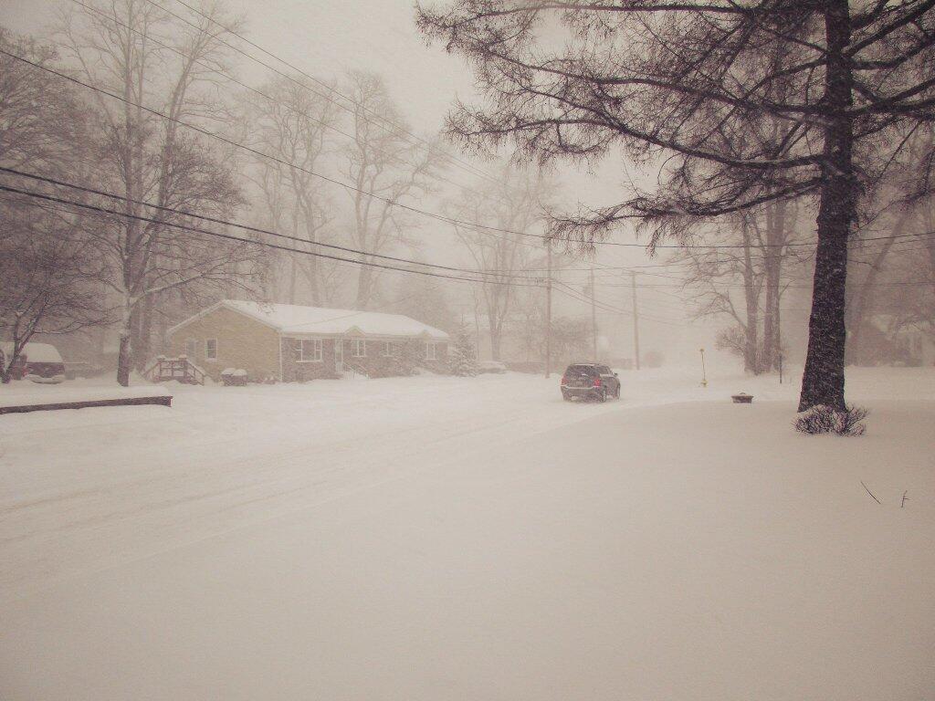 Delmar, New York Andy