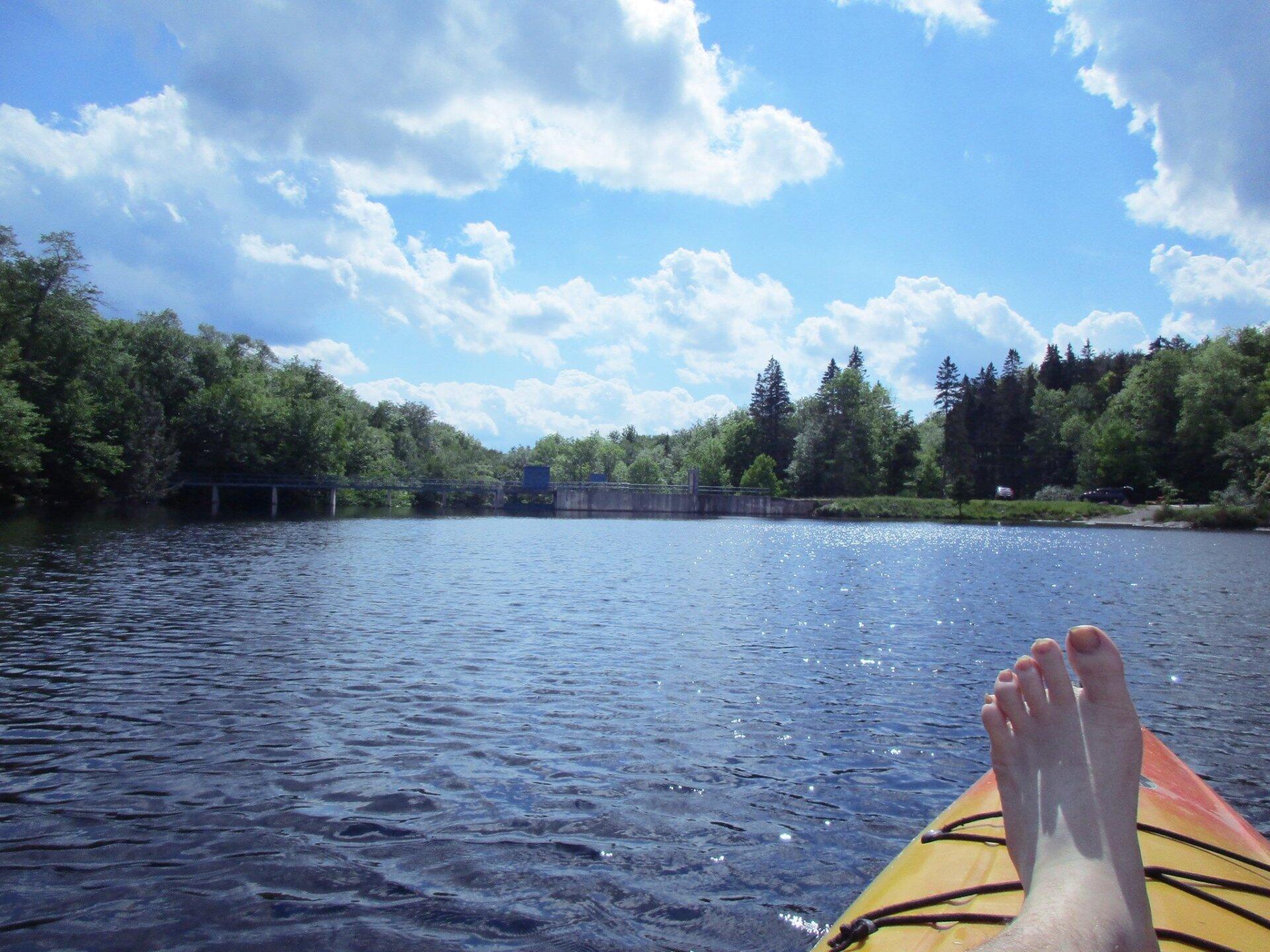 Photo Clearing At Stewart Landing Andy
